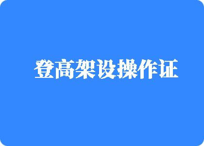 日少妇逼逼登高架设操作证